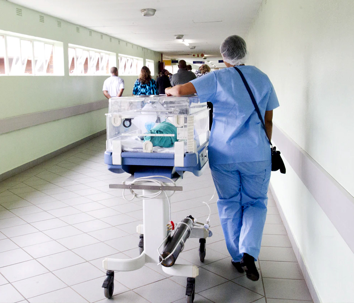 healthcare sector